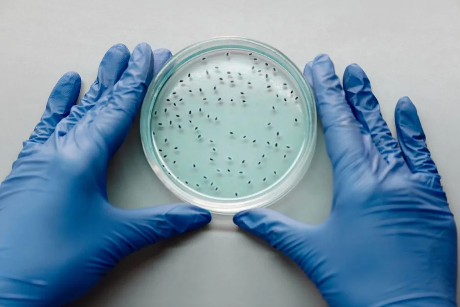 What Causes ALS? Genetics, Environment, and Risk Factors