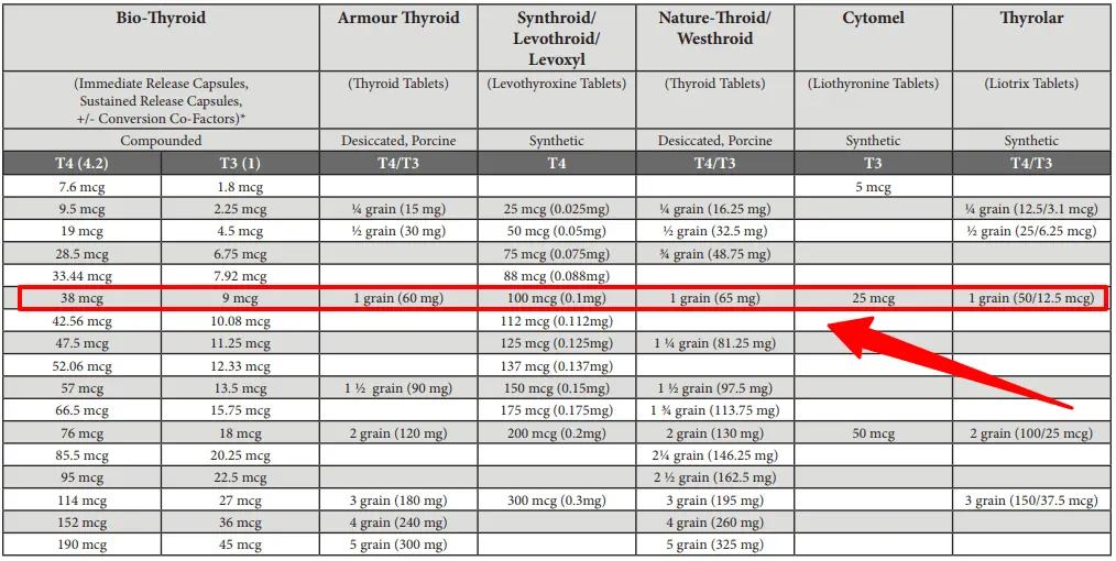 Armour Thyroid to Levothyroxine Conversion Guide