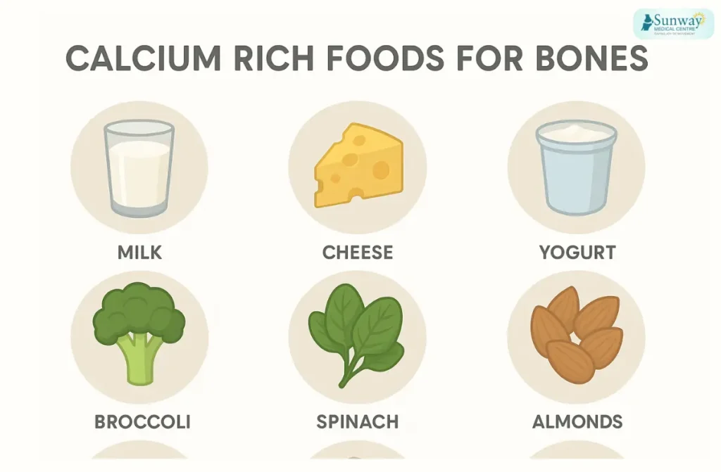 Best Calcium Foods for Osteoporosis – Simple Guide to Strong Bones