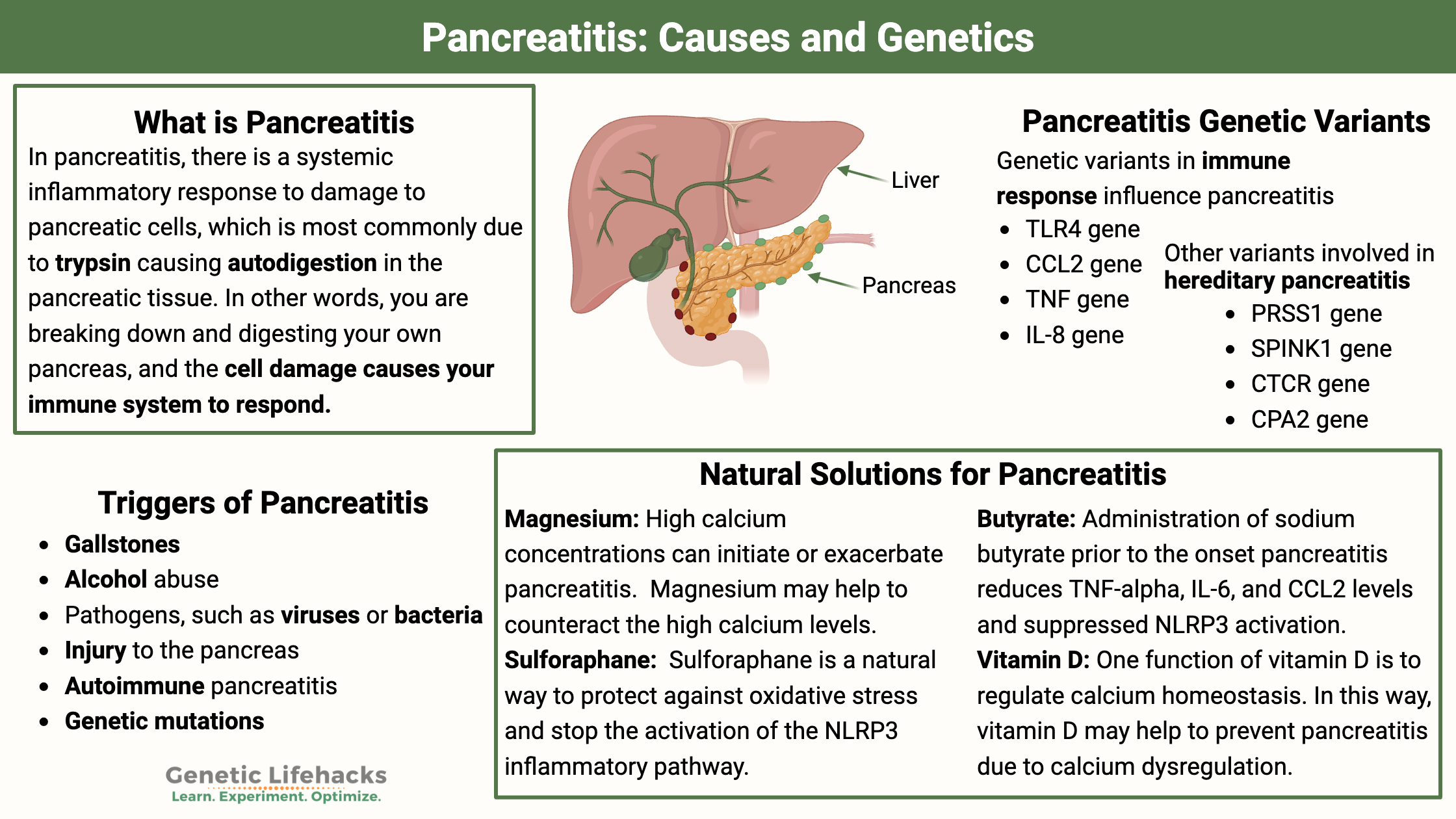 Key Causes of Pancreatic Insufficiency in Adults