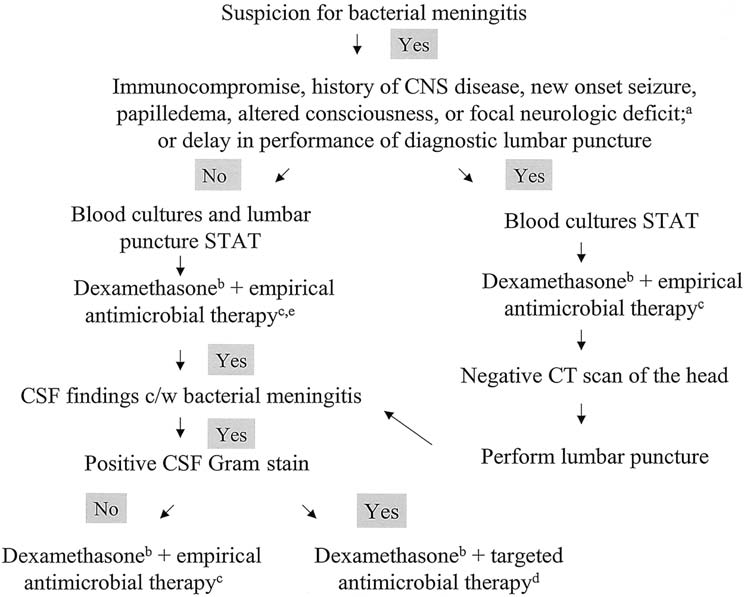 IDSA Viral Meningitis Guidelines – Answers for Clinicians