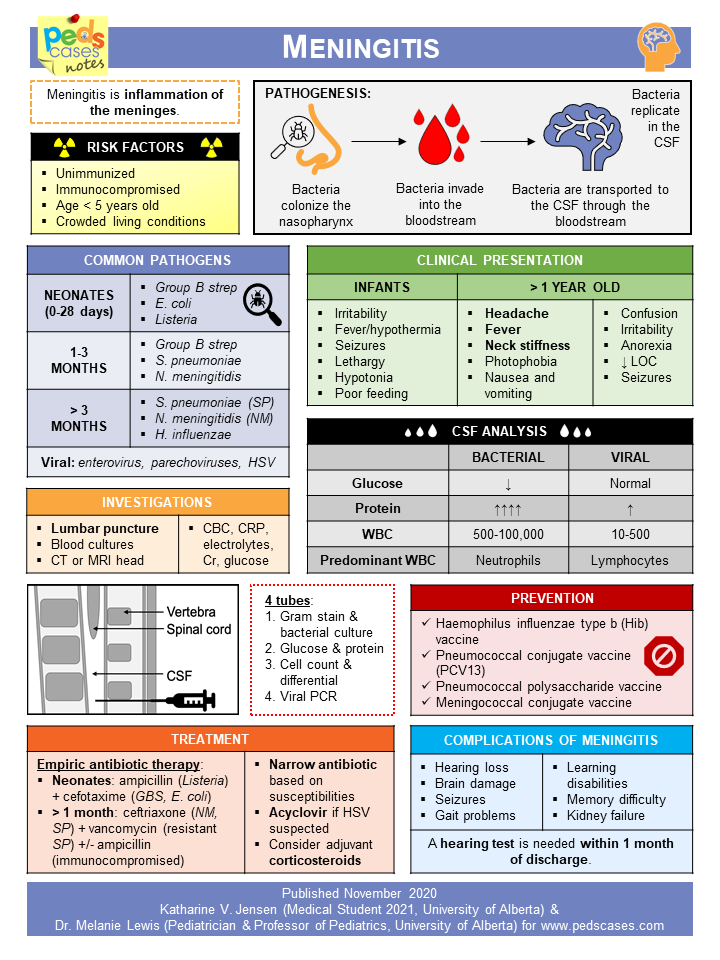 Meningitis in Pediatrics PDF: Quick Guide & Checklist