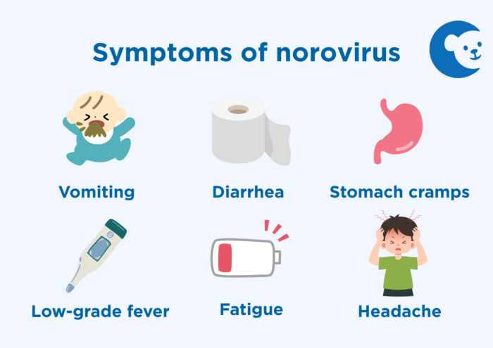Norovirus Symptoms in Toddlers: Quick Guide for Parents