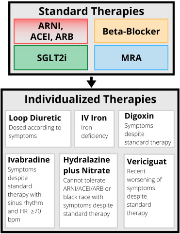 New Heart Failure Medications 2024: What’s Changing