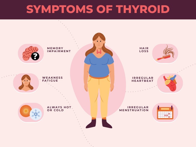 Thyroid Symptoms Test: How to Prepare & Read Results