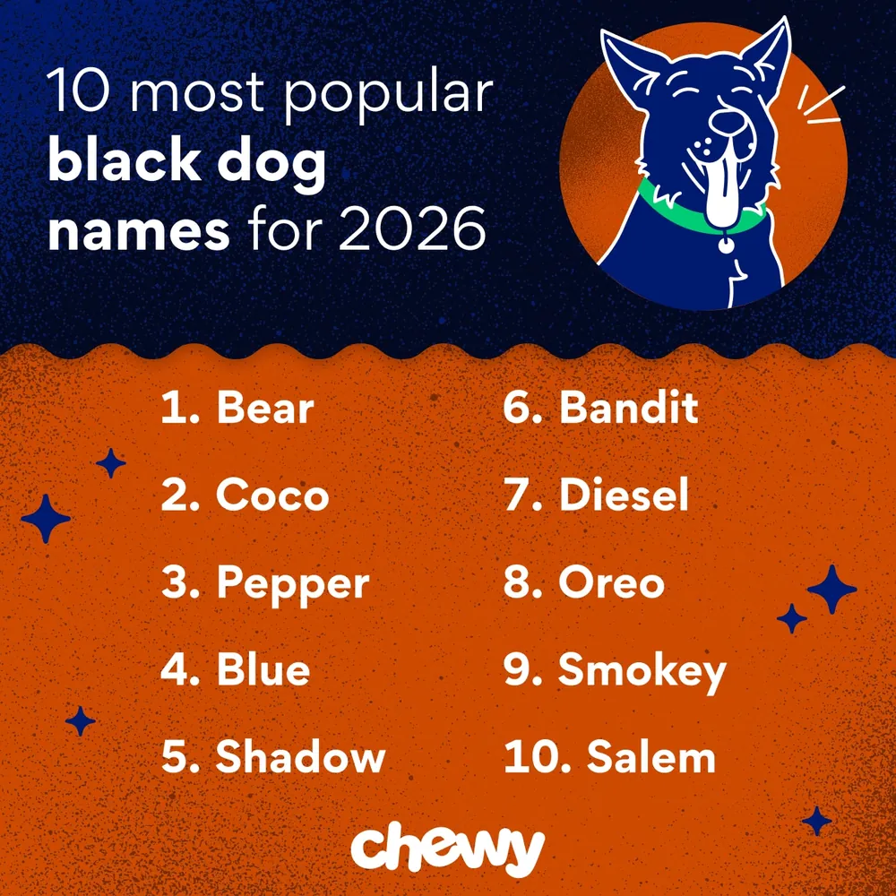 black dog names