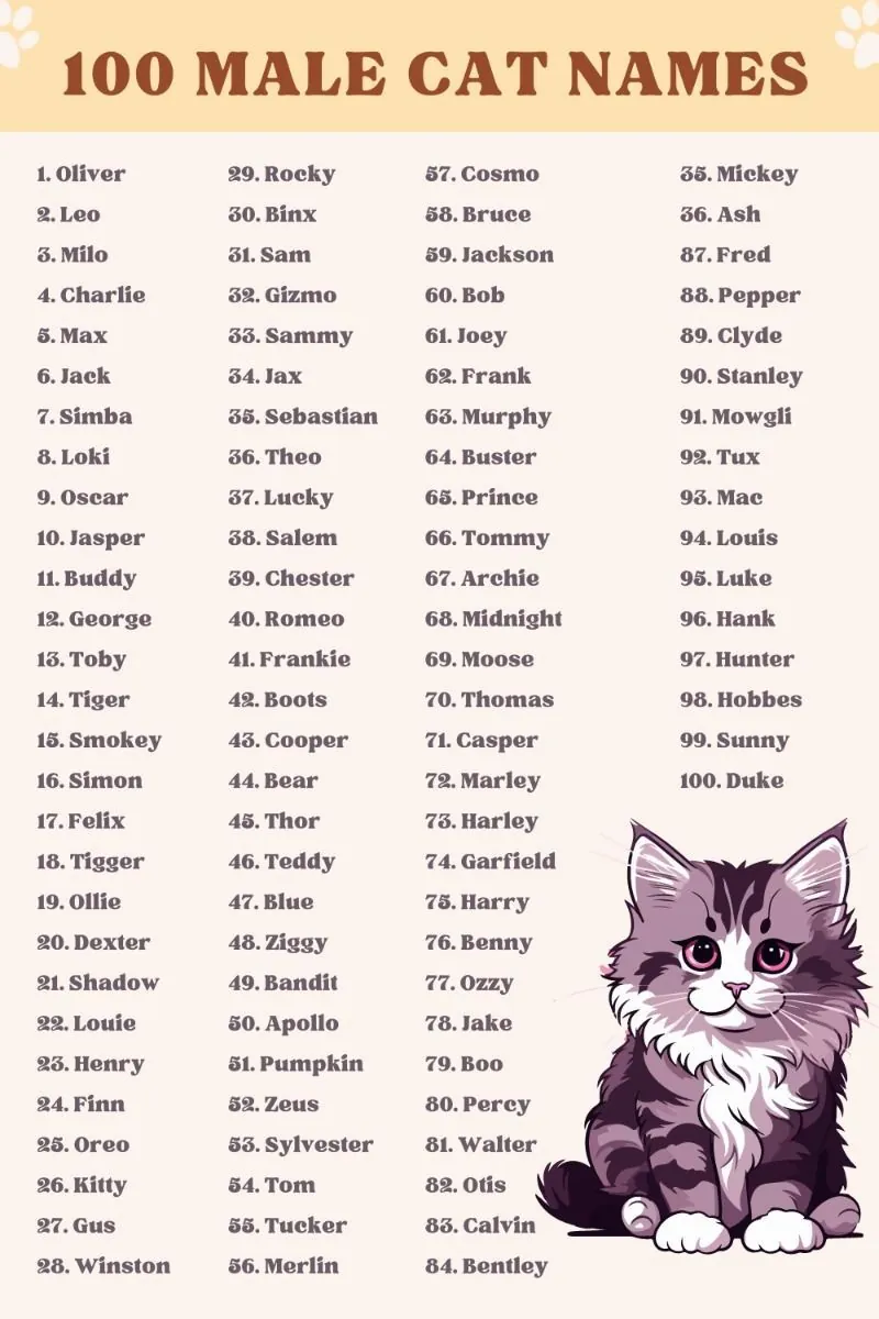 boy cat names