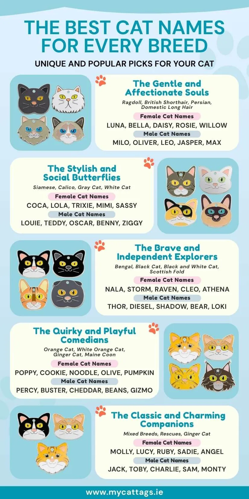 boy cat names