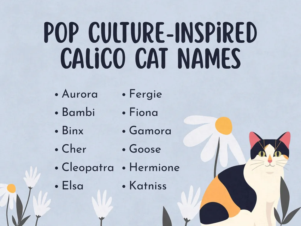 calico cat names