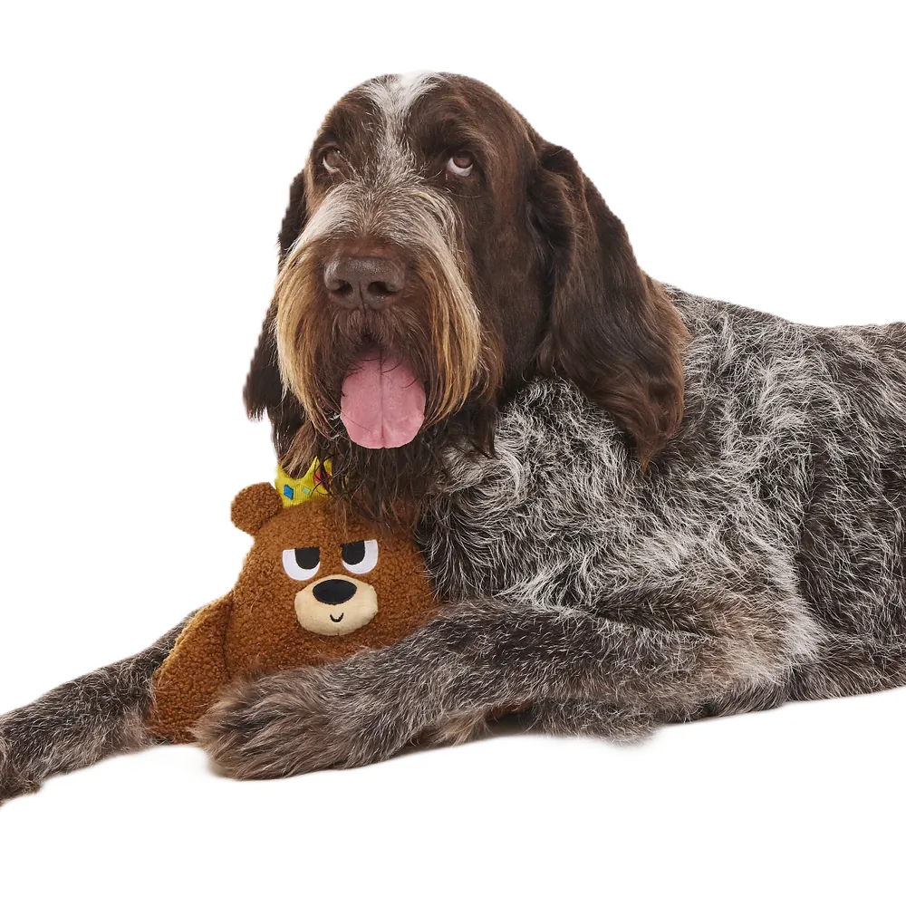 classic dog names