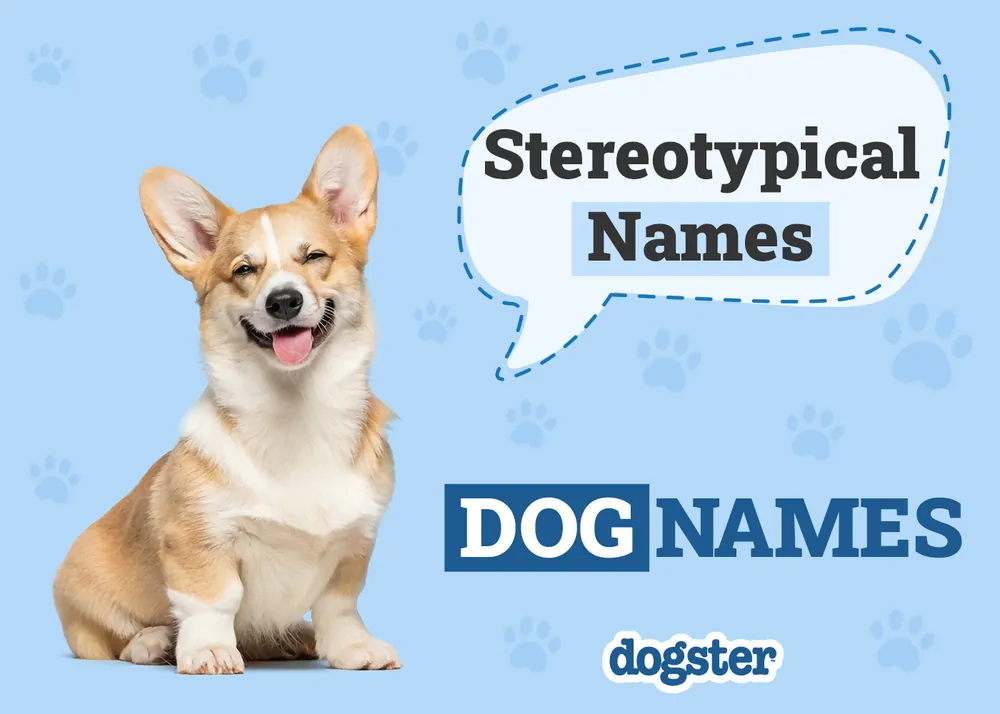 classic dog names