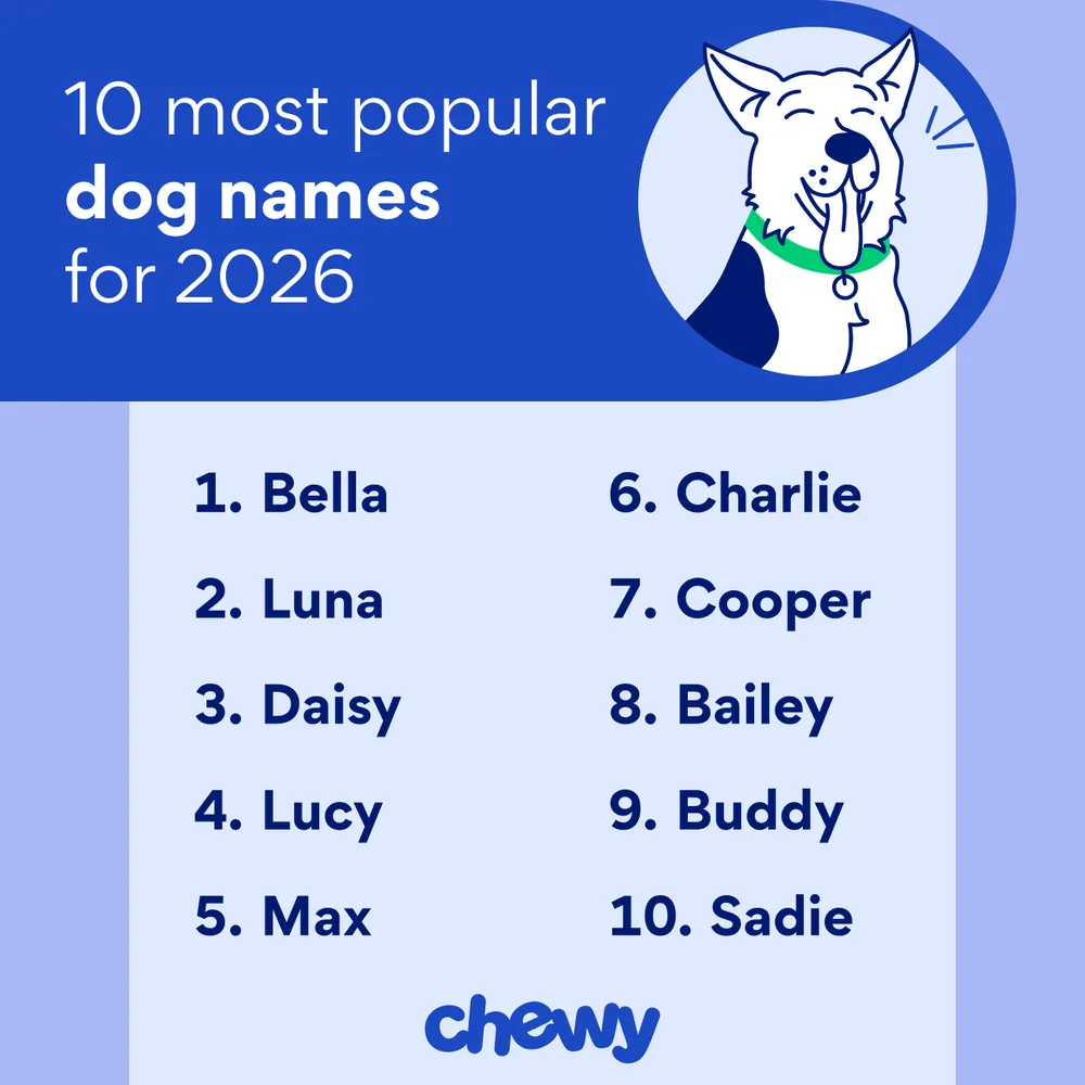 classic dog names