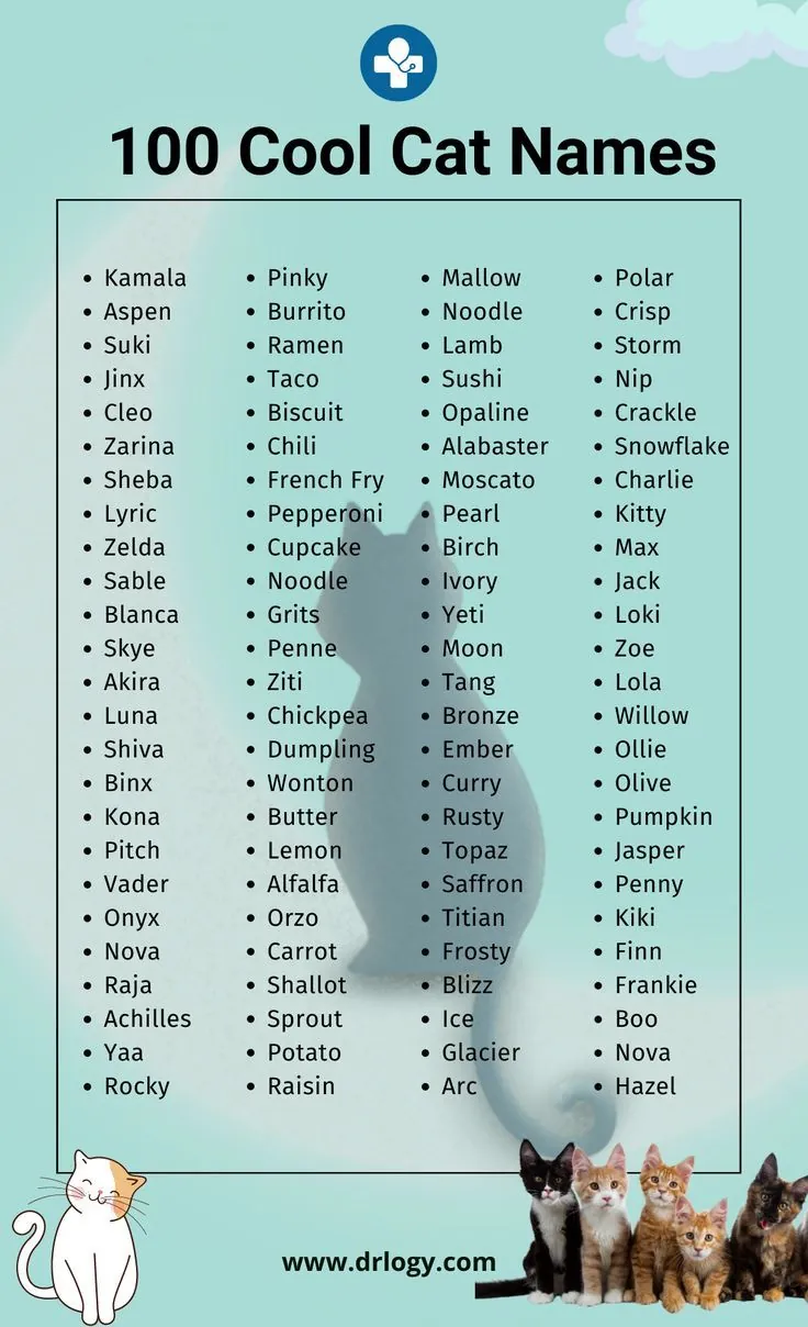 cool cat names