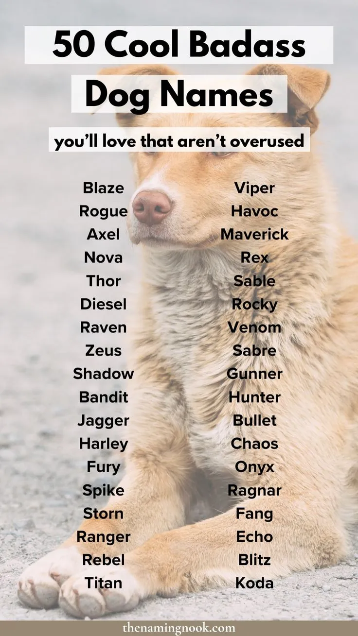 cool dog names