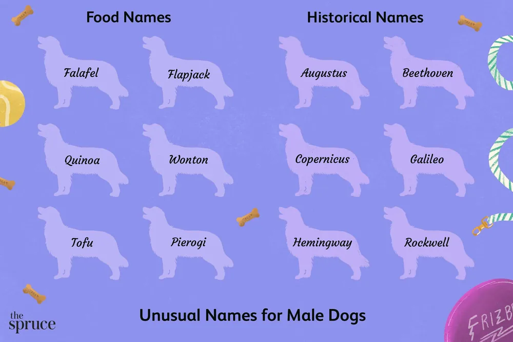 cool dog names