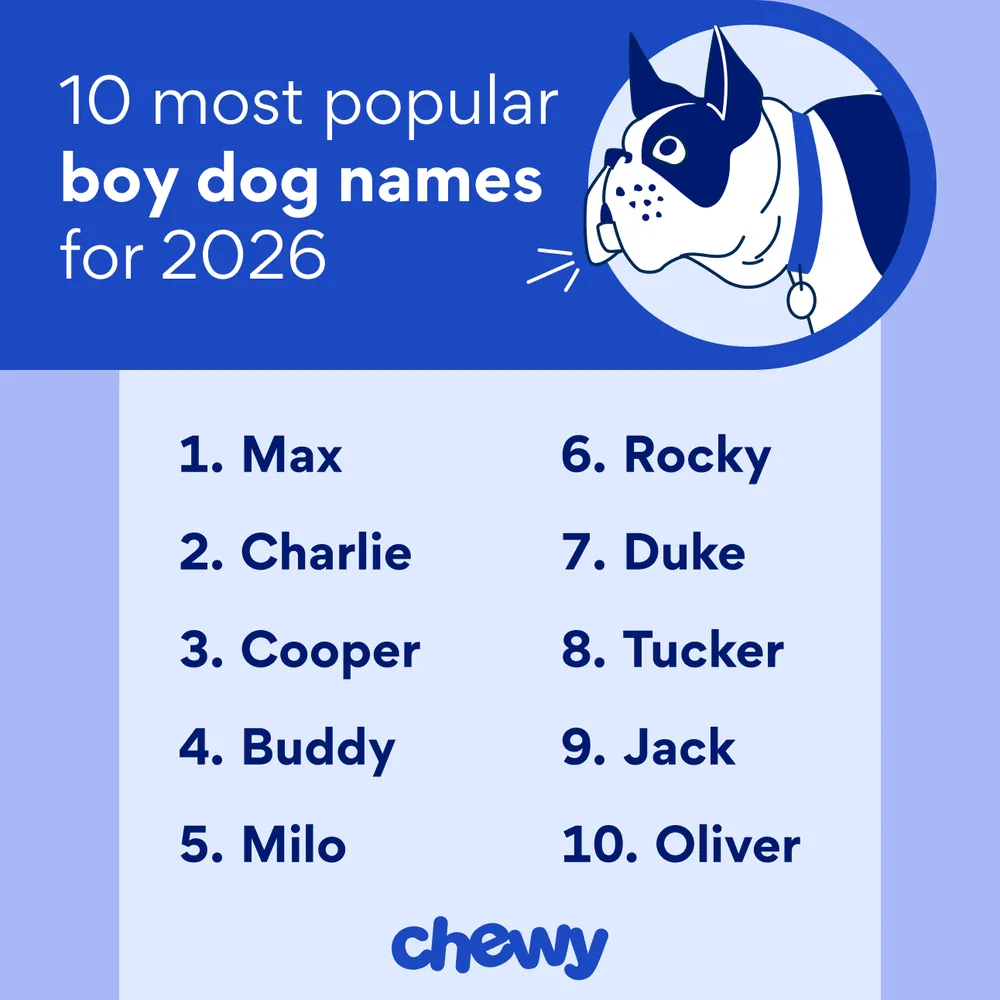 dog names