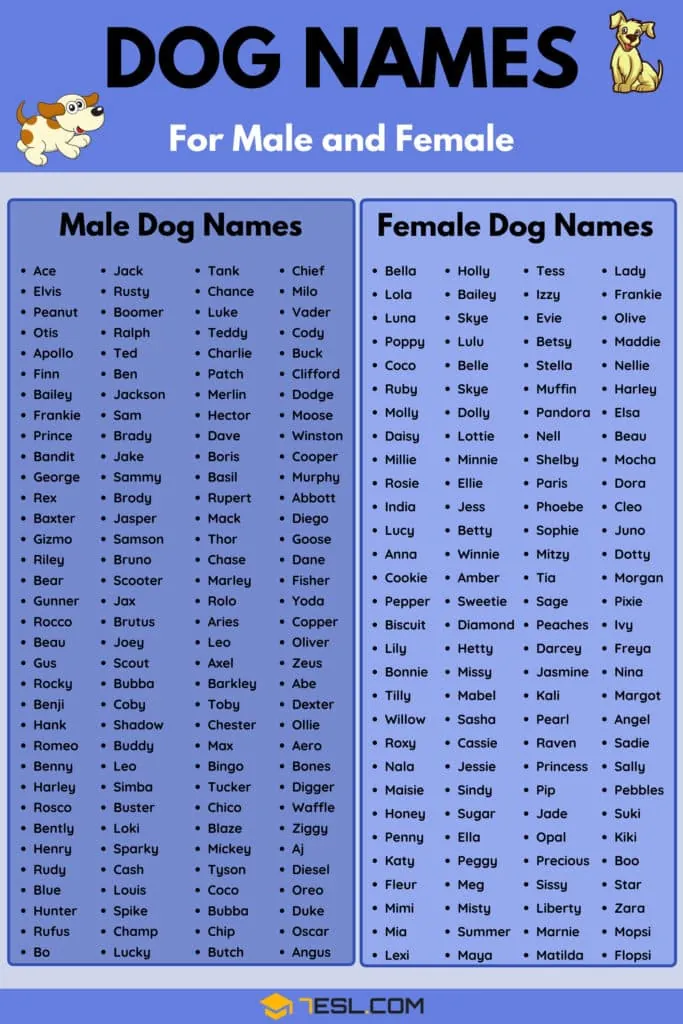 dog names