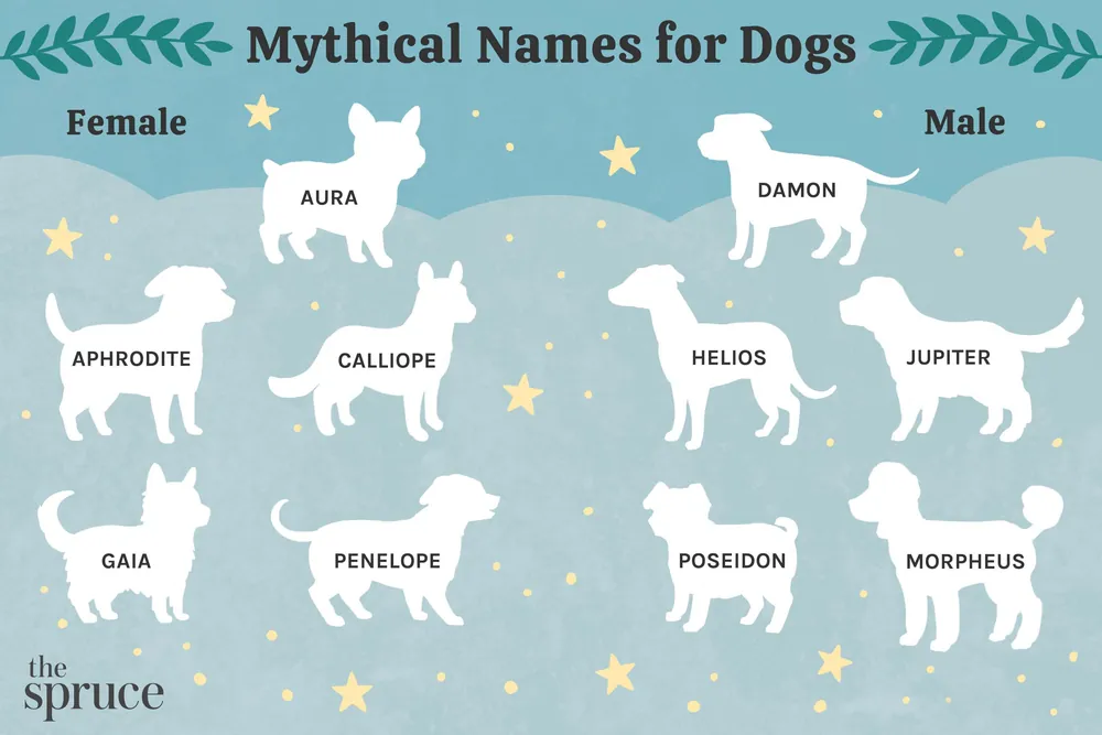 dog names