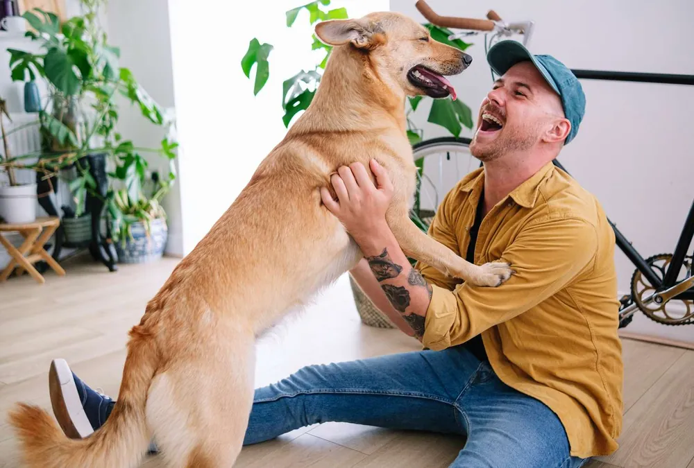 funny dog names