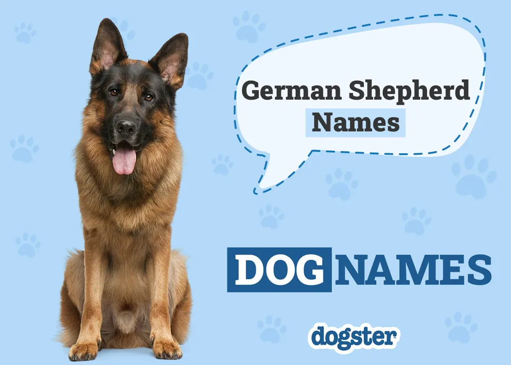 german shepherd names