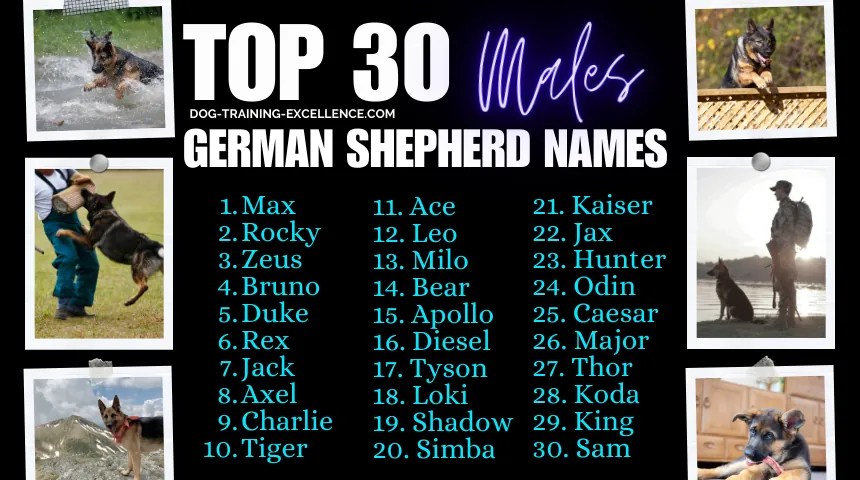 german shepherd names