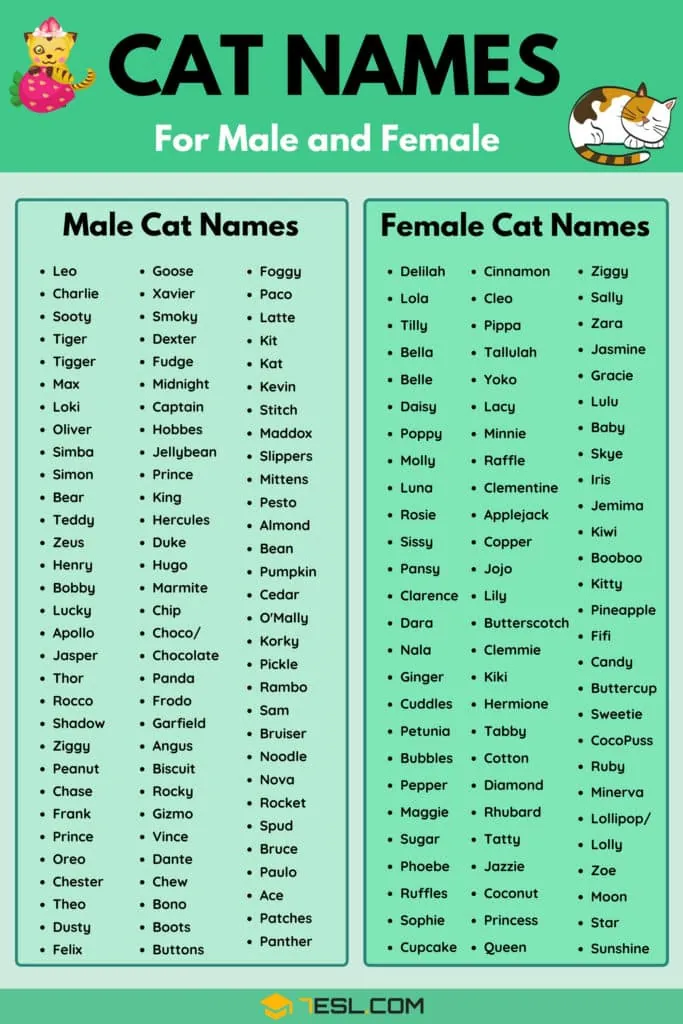 male cat names