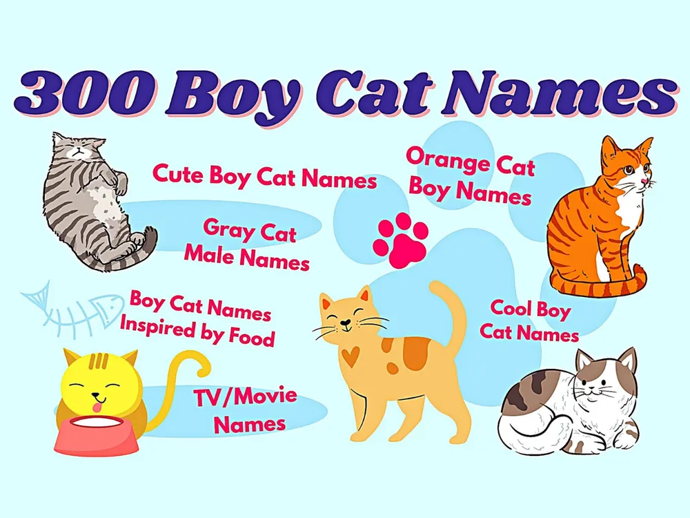male cat names