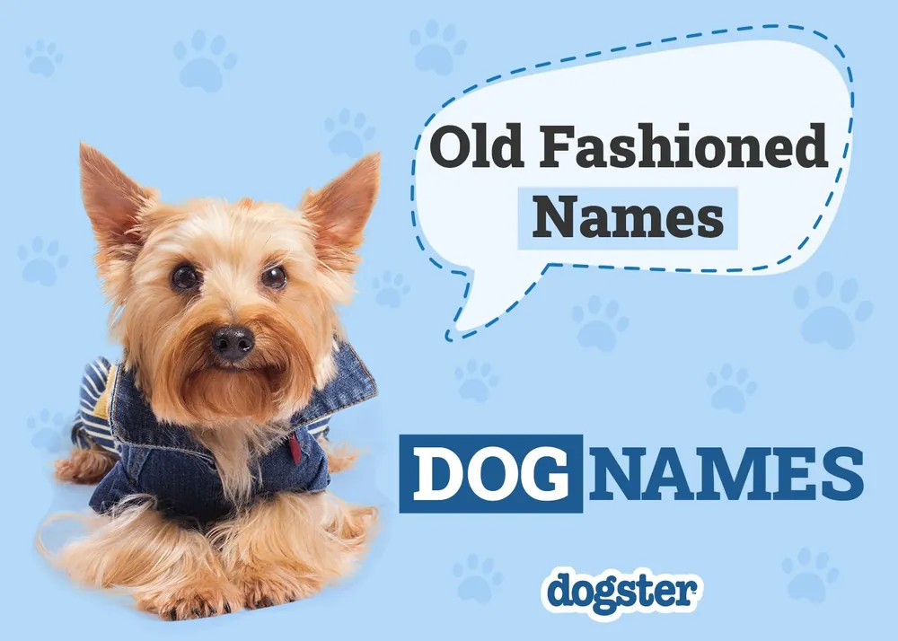 old fashioned dog names