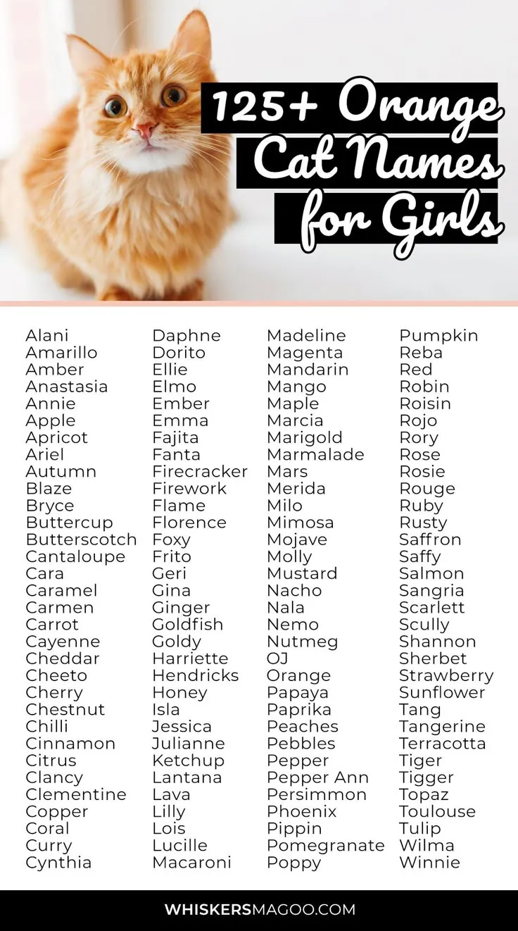 orange cat names