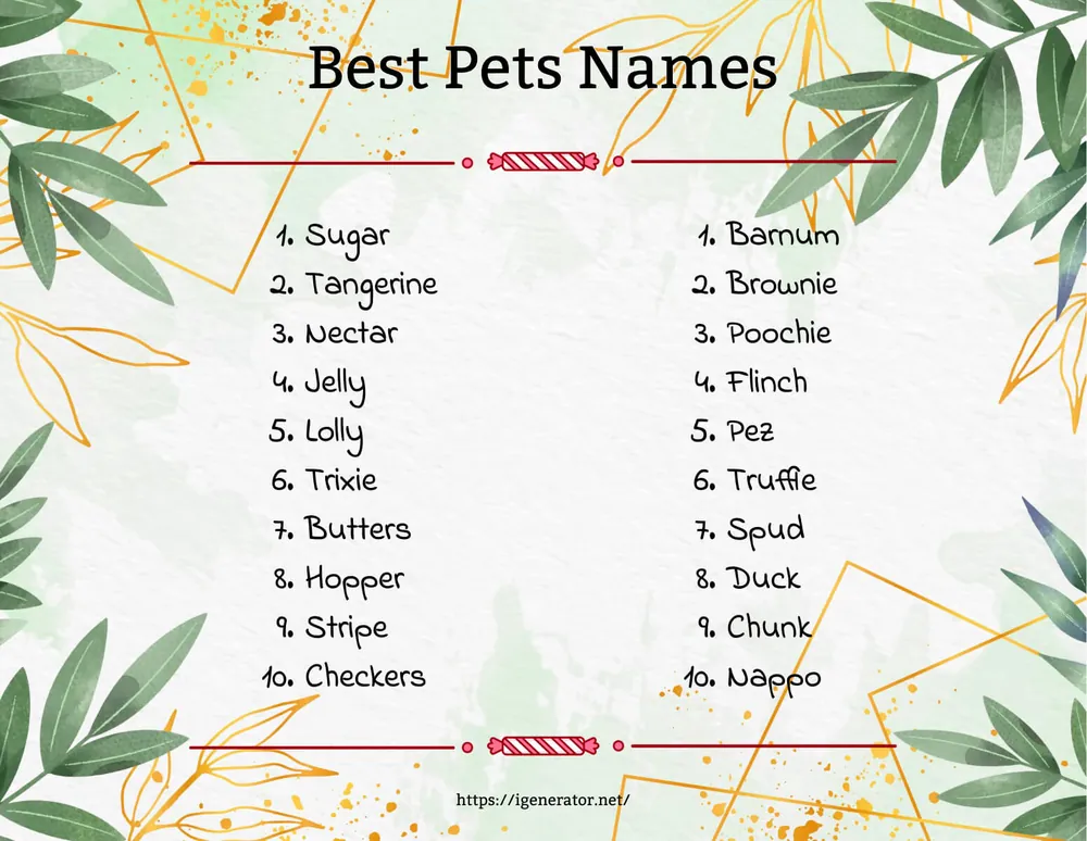 pet name generator