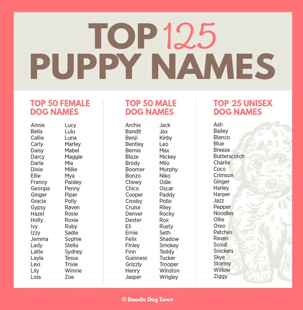 puppy name generator