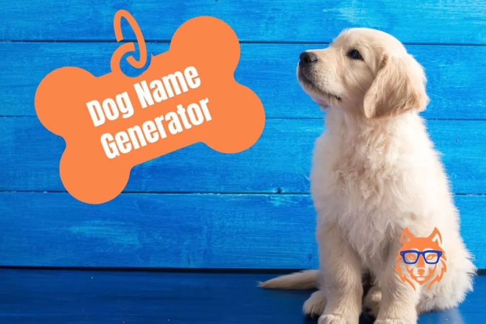 puppy name generator