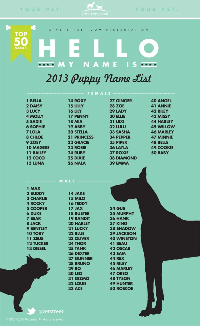 puppy names