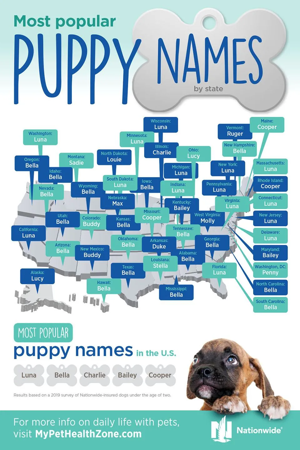 puppy names