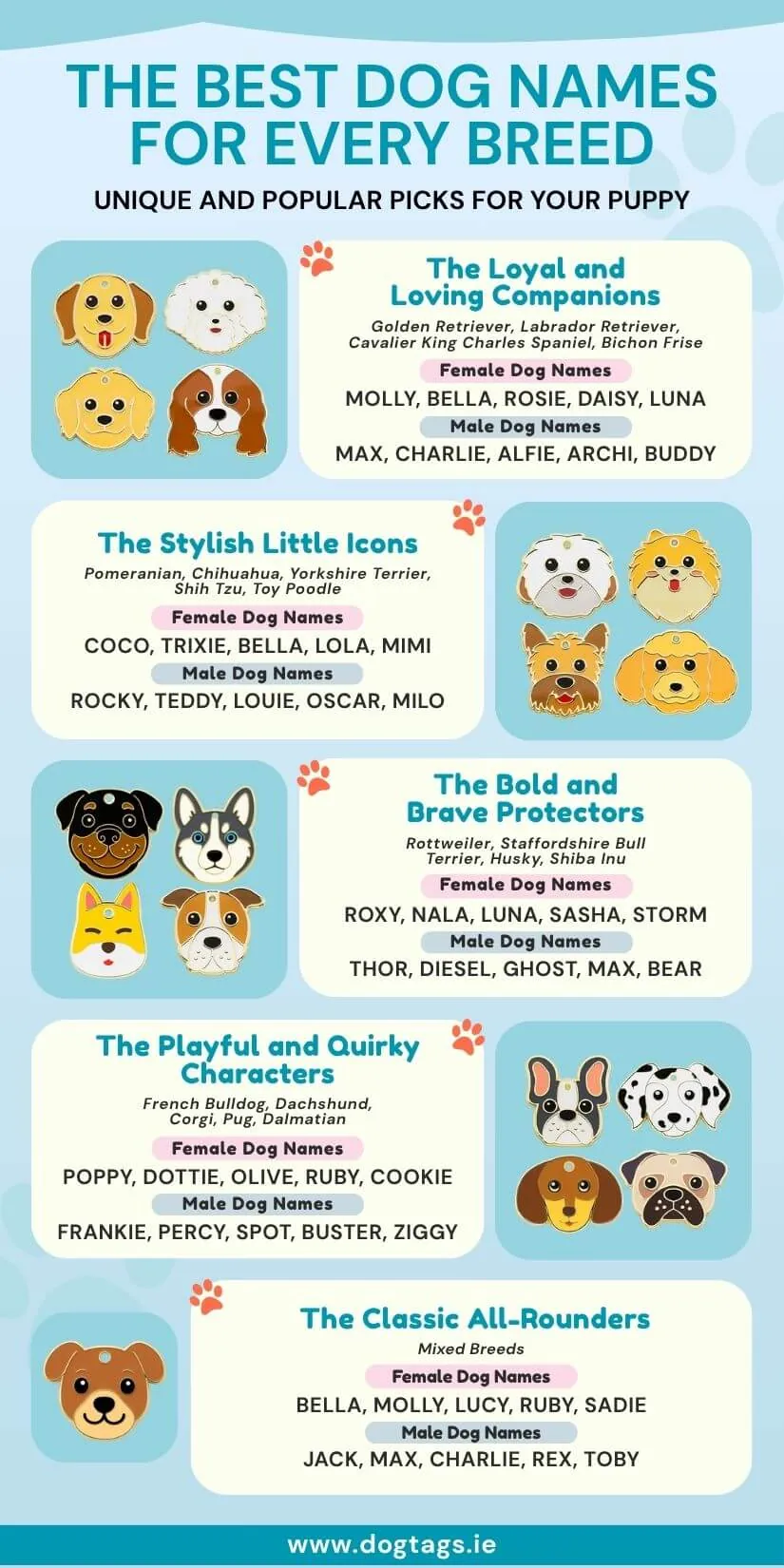 puppy names