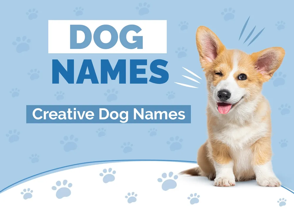 rare dog names