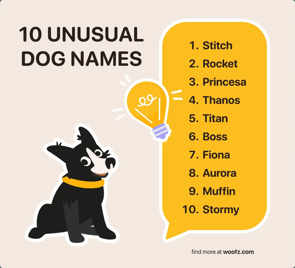 rare dog names