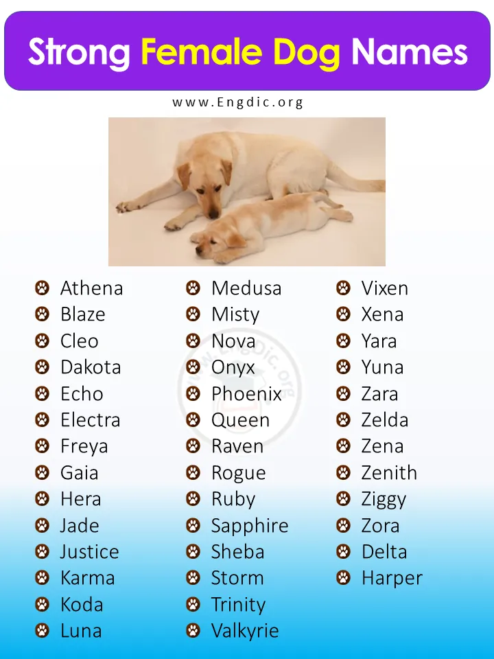 strong dog names