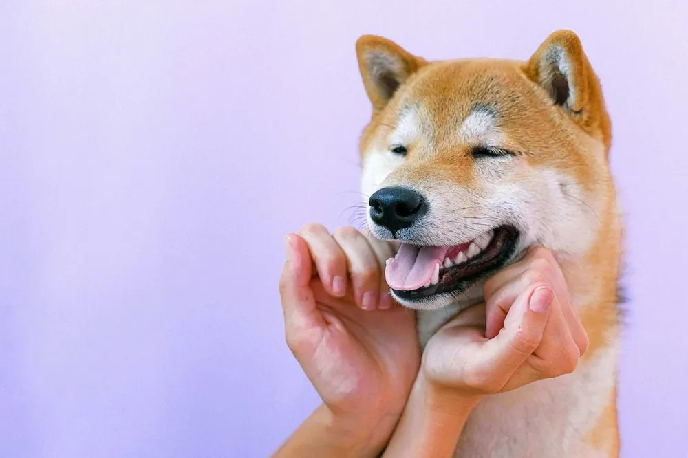 unique dog names