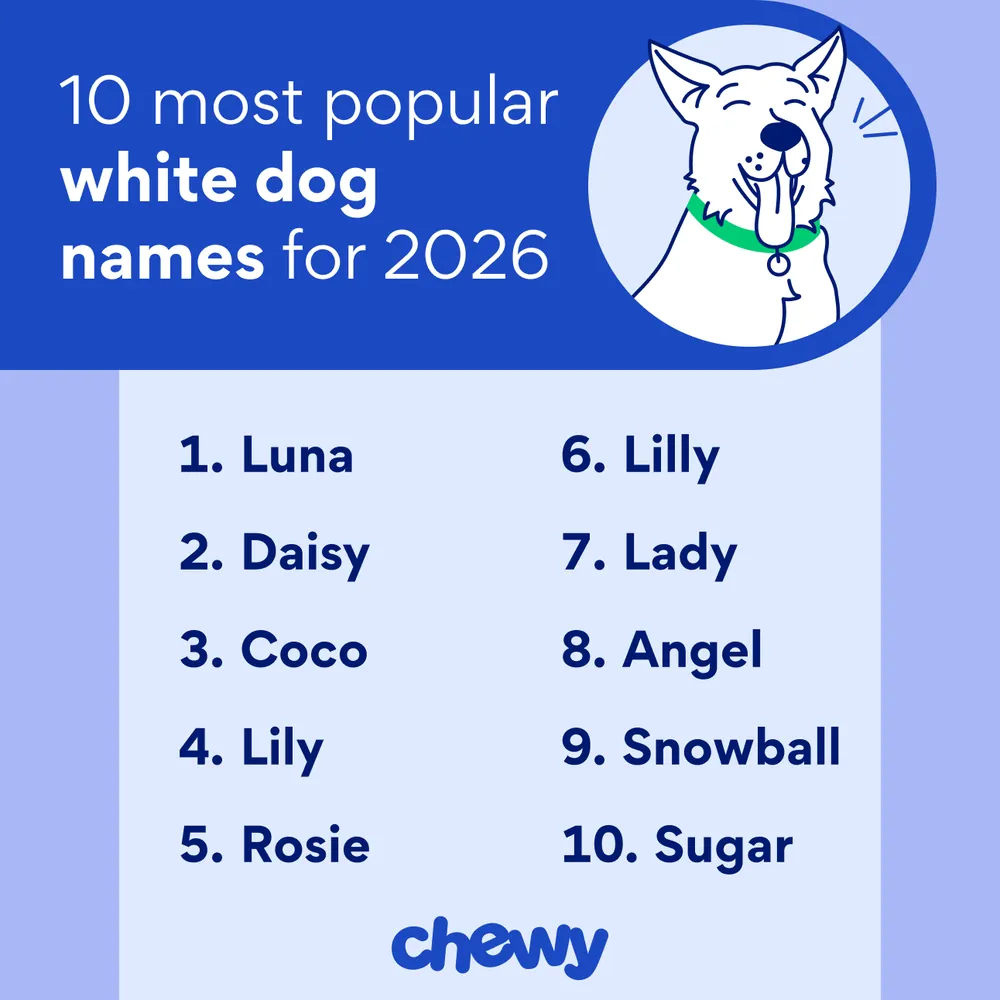 white dog names