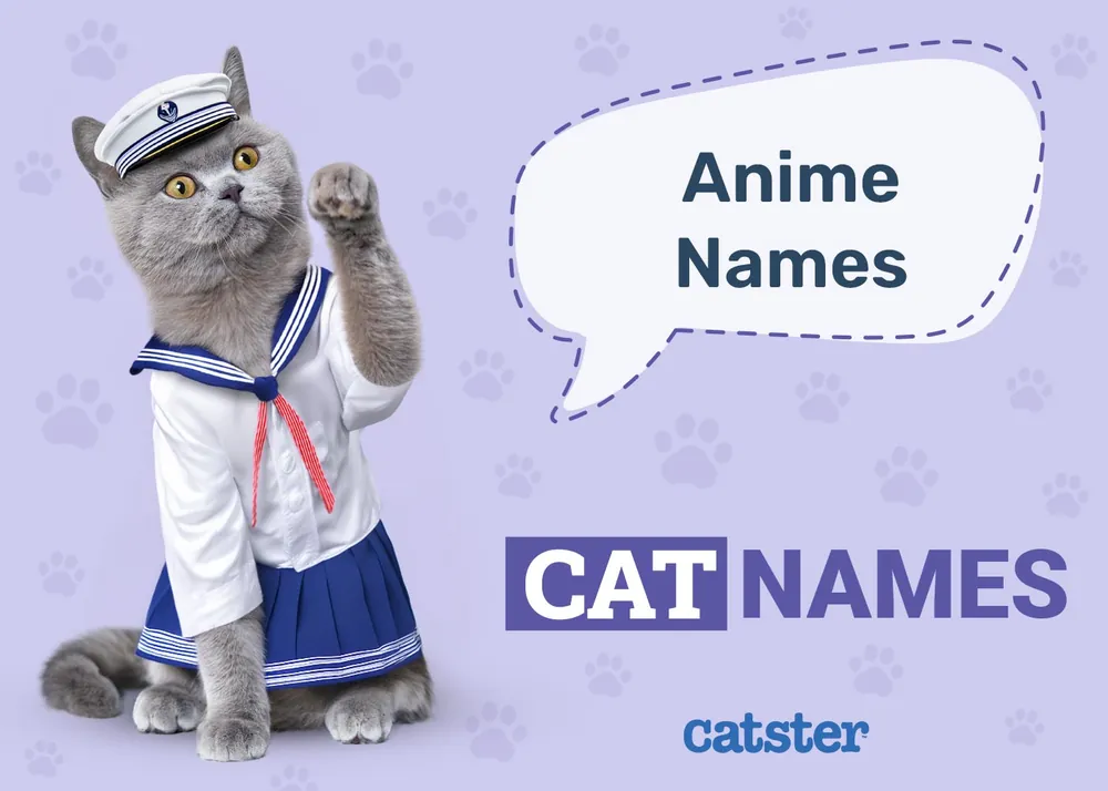 anime cat names