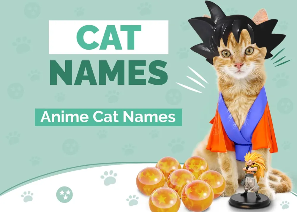 anime cat names