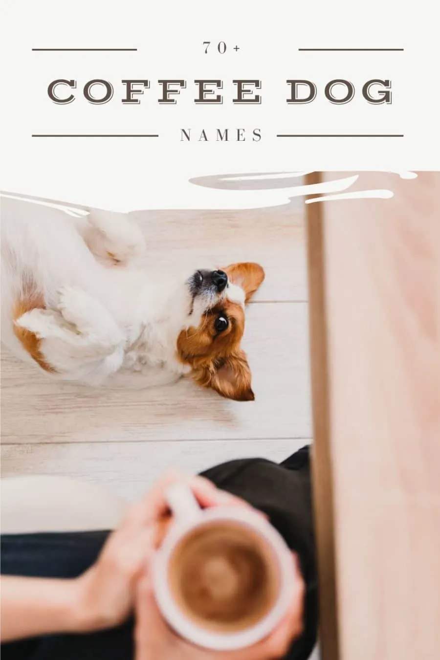 coffee dog names