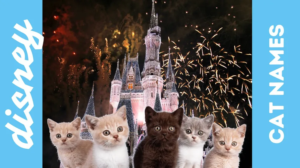 disney cat names