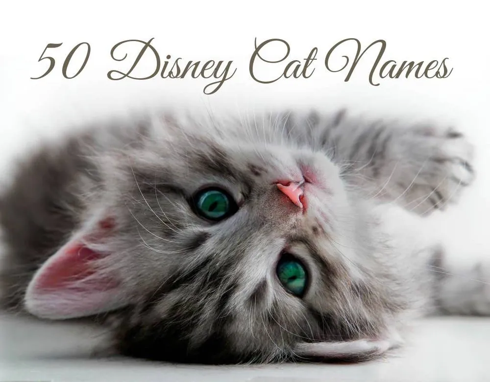 disney cat names