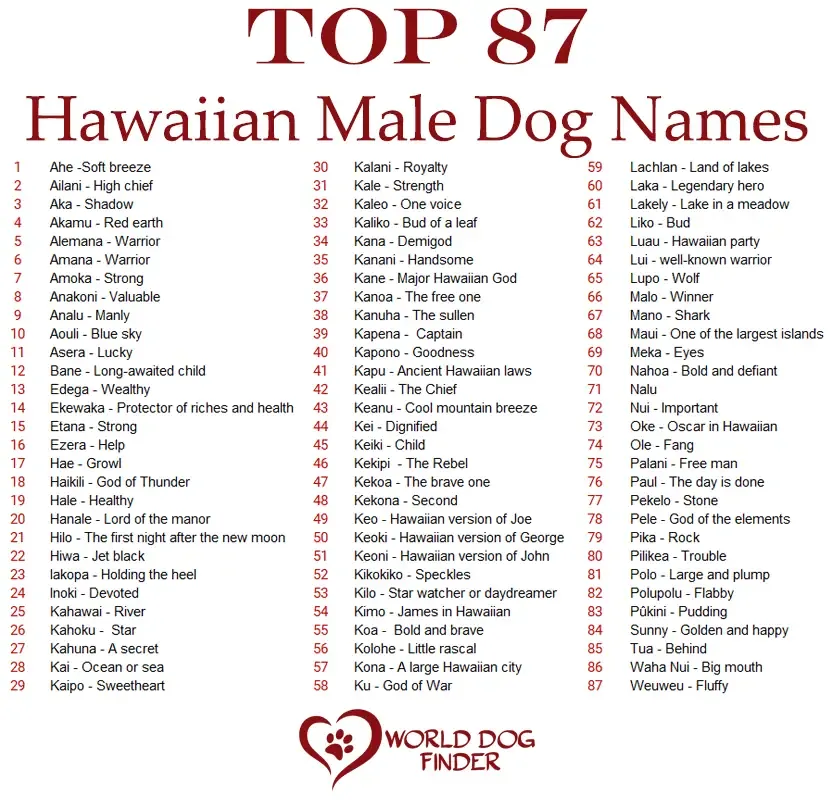 hawaiian dog names