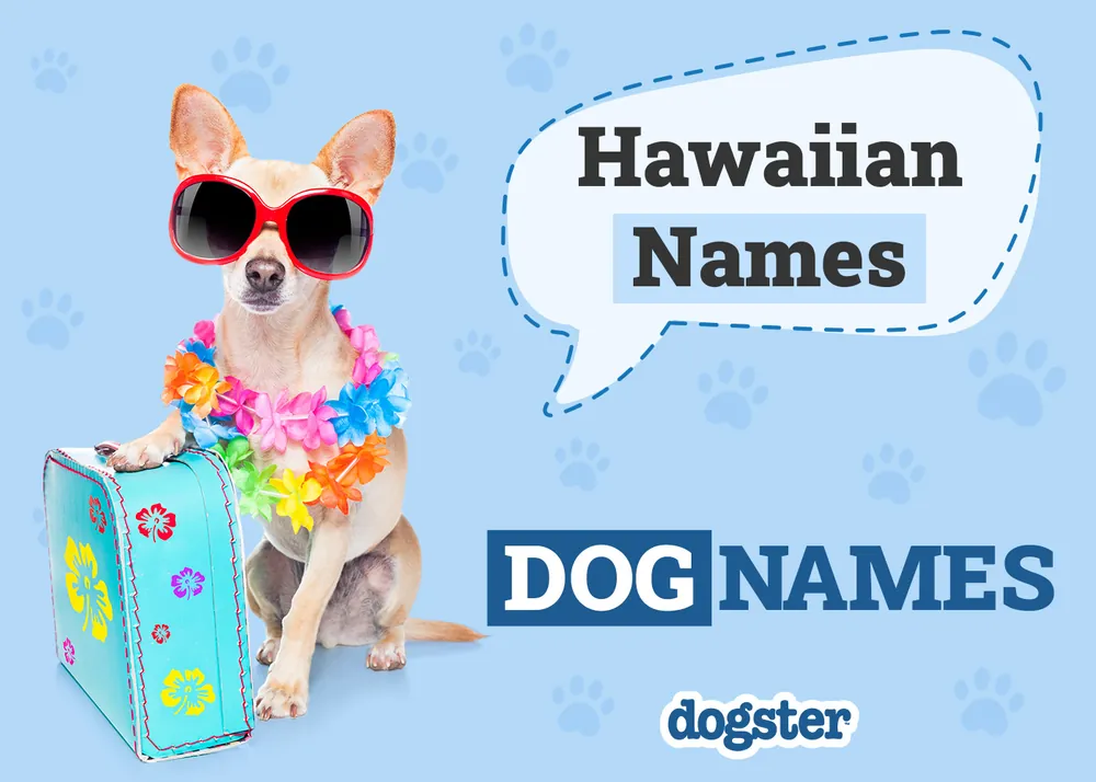 hawaiian dog names