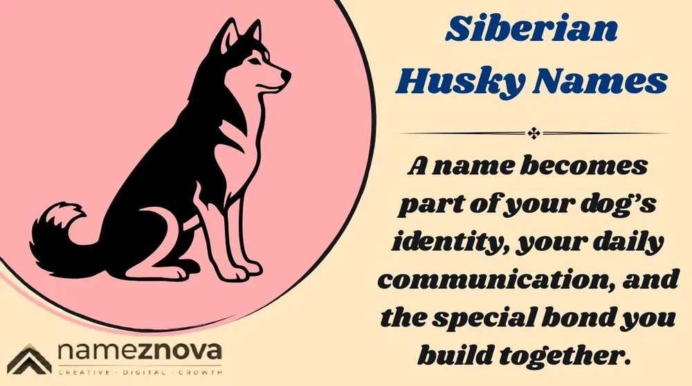 husky names