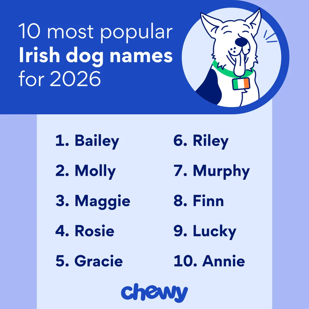 irish dog names