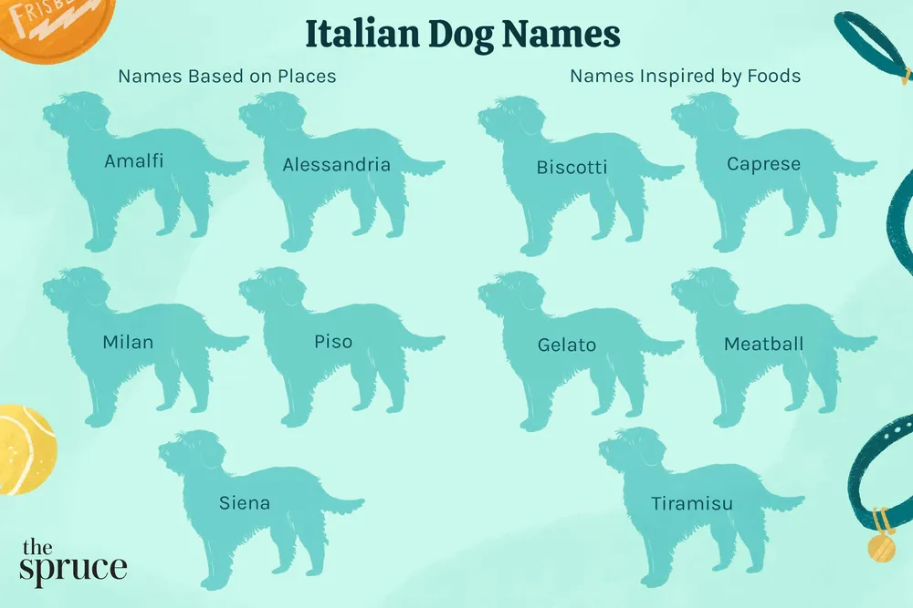 italian dog names